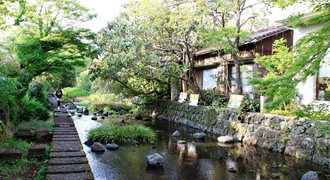 Small image