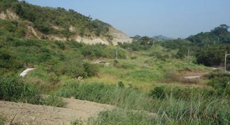 Small image