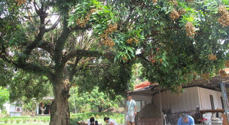Small image